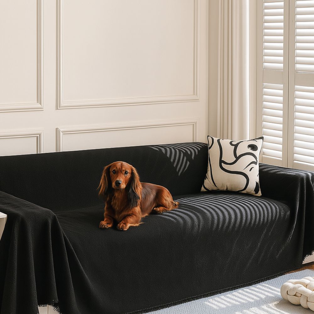 Dazzle Sofa Cover | Chenille, Geometric Design for Pets 2