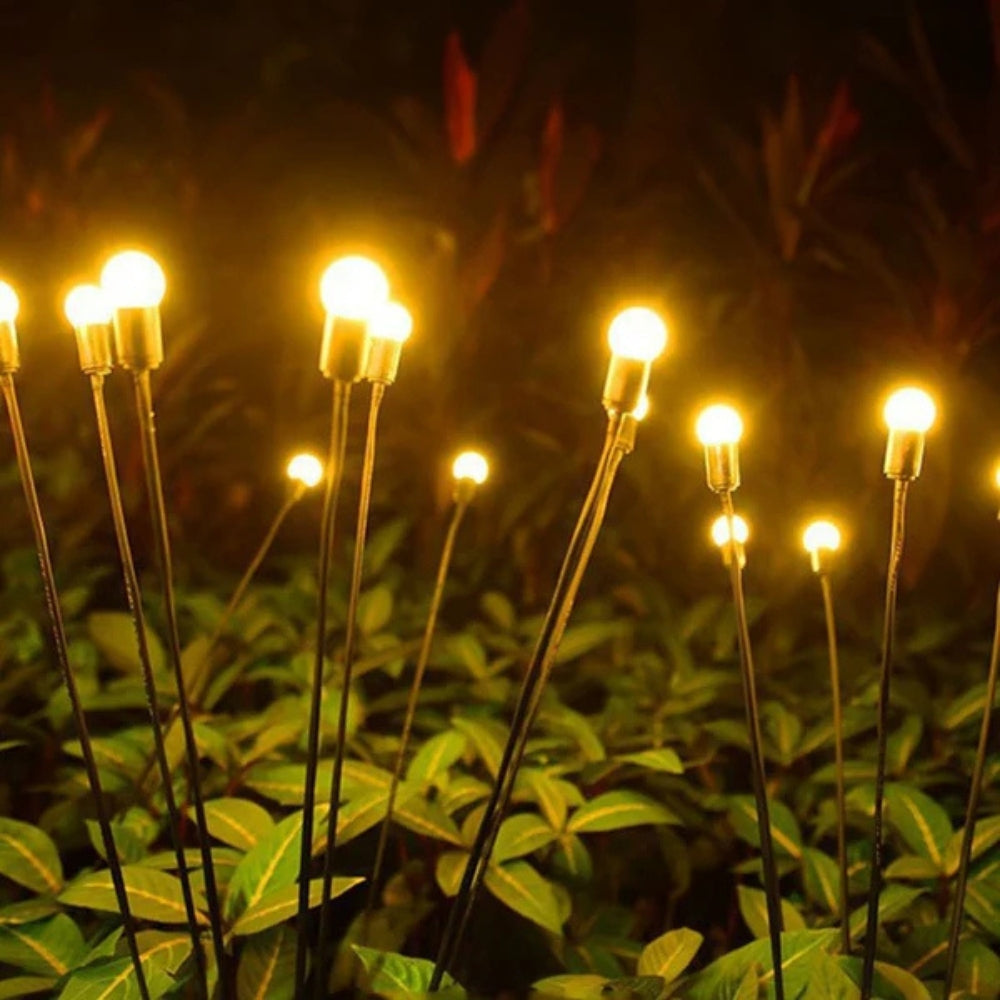 Fiora Solar Garden Lights | Eco-Friendly, Weatherproof LED