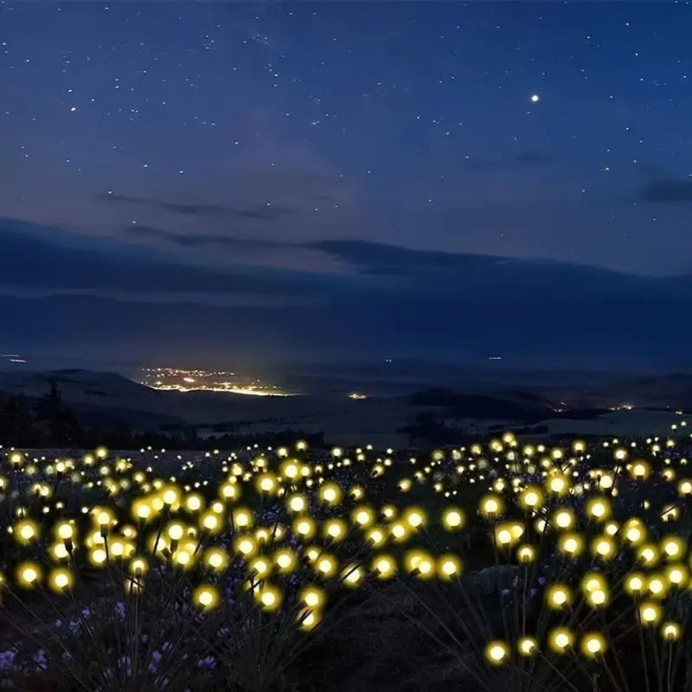 Fiora Solar Garden Lights | Eco-Friendly, Weatherproof LED