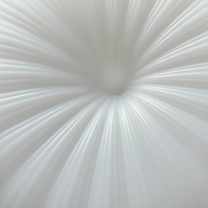 Keri Flush Mount Ceiling Light | Sculptural Acrylic, LED Fixture